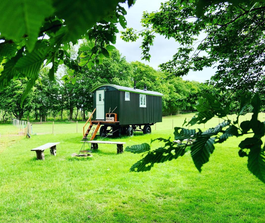 The Big Green Shepherds Hut Charlwood Bagian luar foto